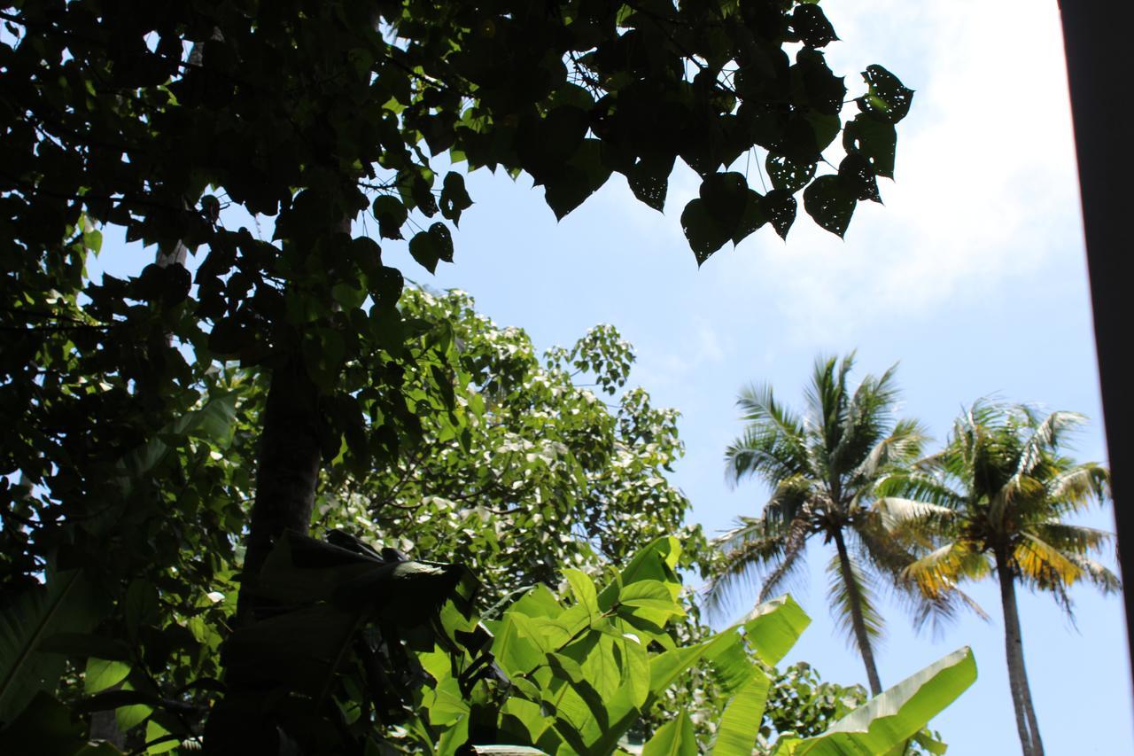 The Exotic Marigold Hotel Varkala Exterior foto